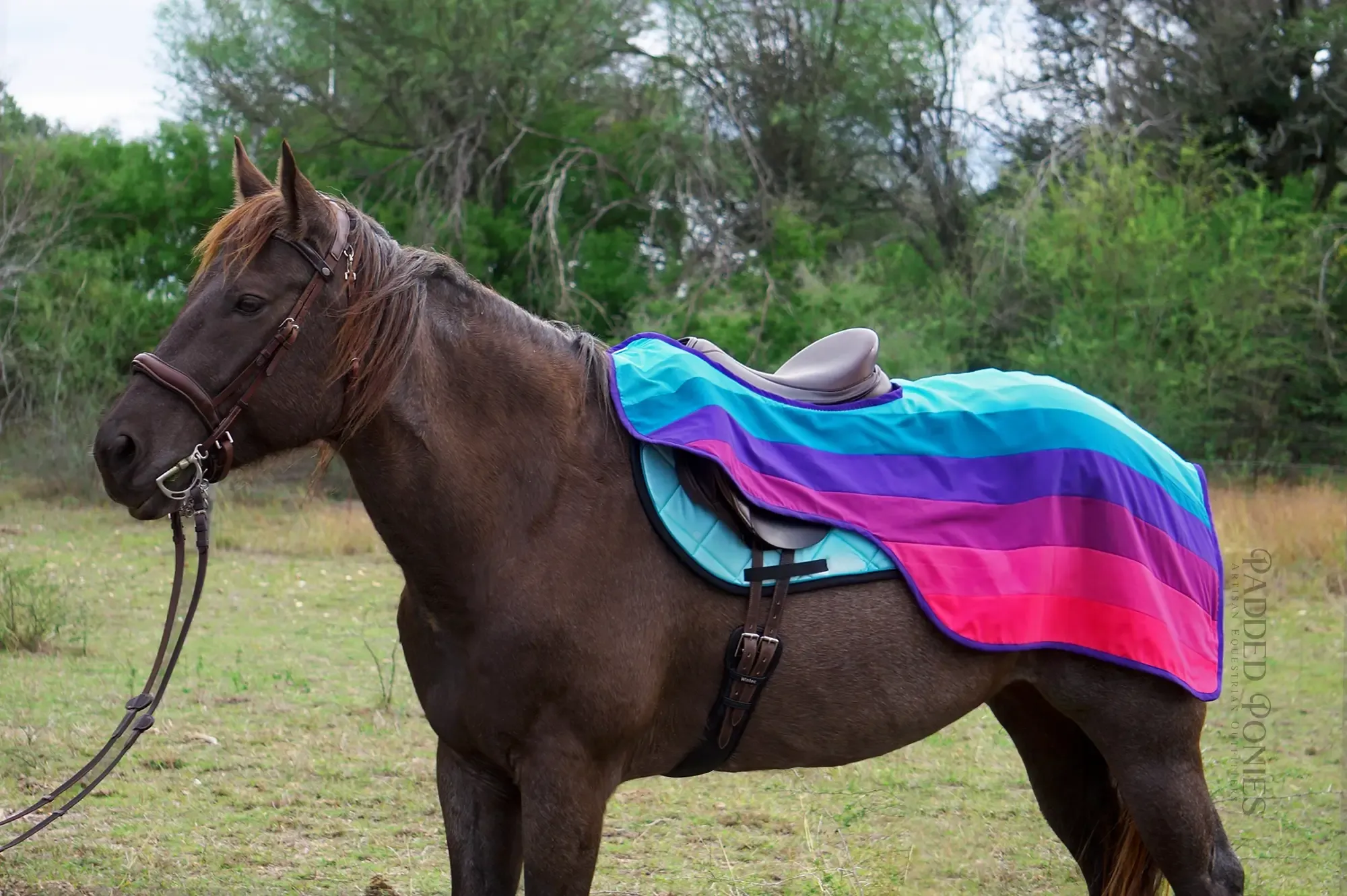 Custom LGBTQ  Pride Flag Quarter Sheet