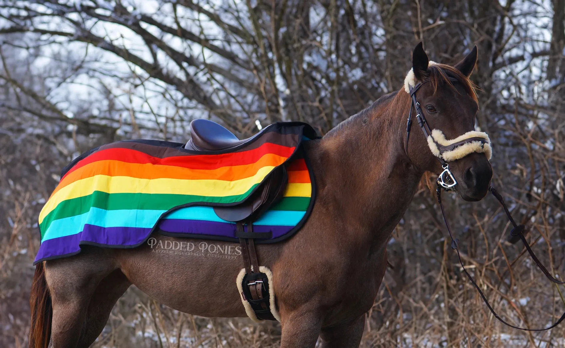 Custom LGBTQ  Pride Flag Quarter Sheet