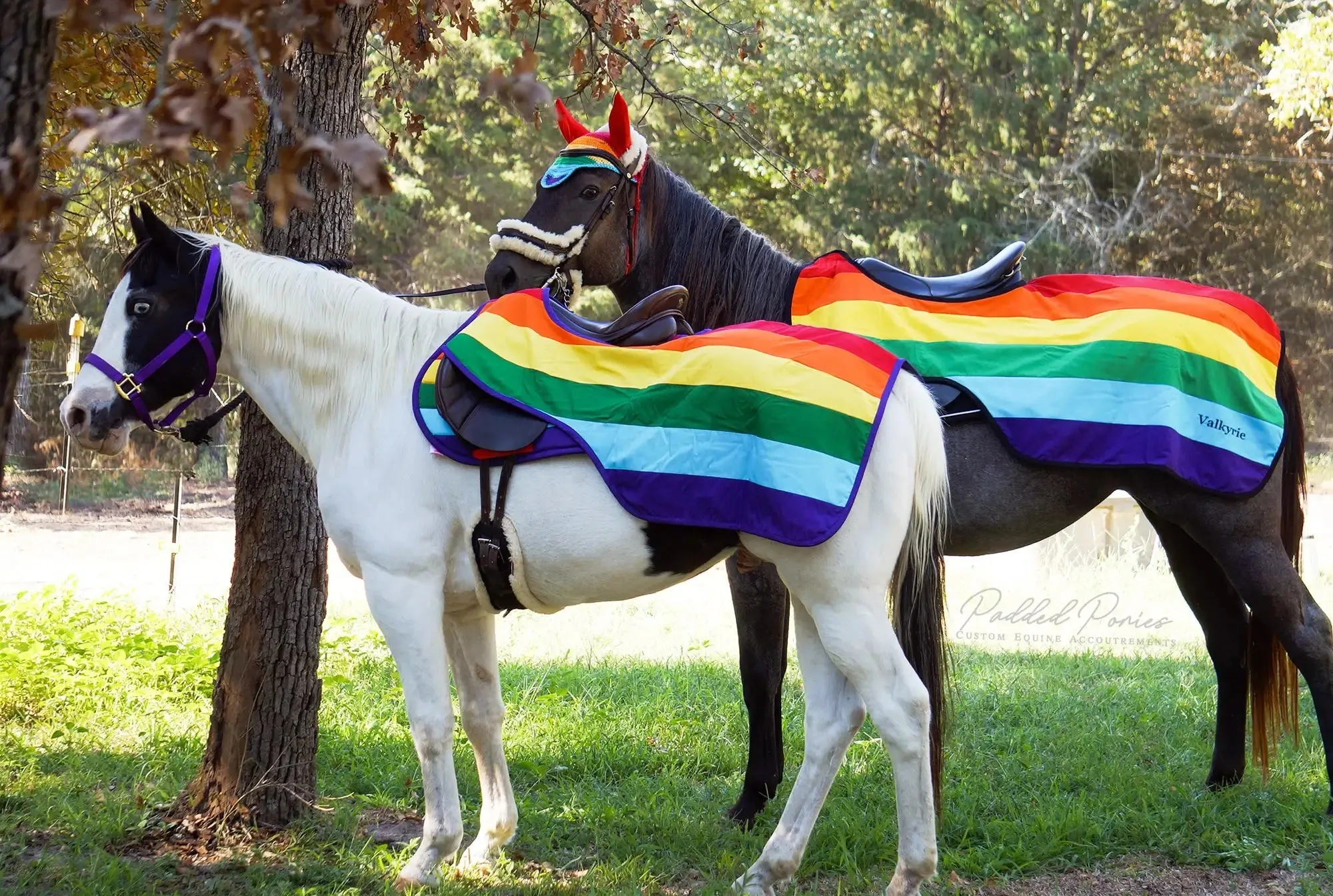 Custom LGBTQ  Pride Flag Quarter Sheet