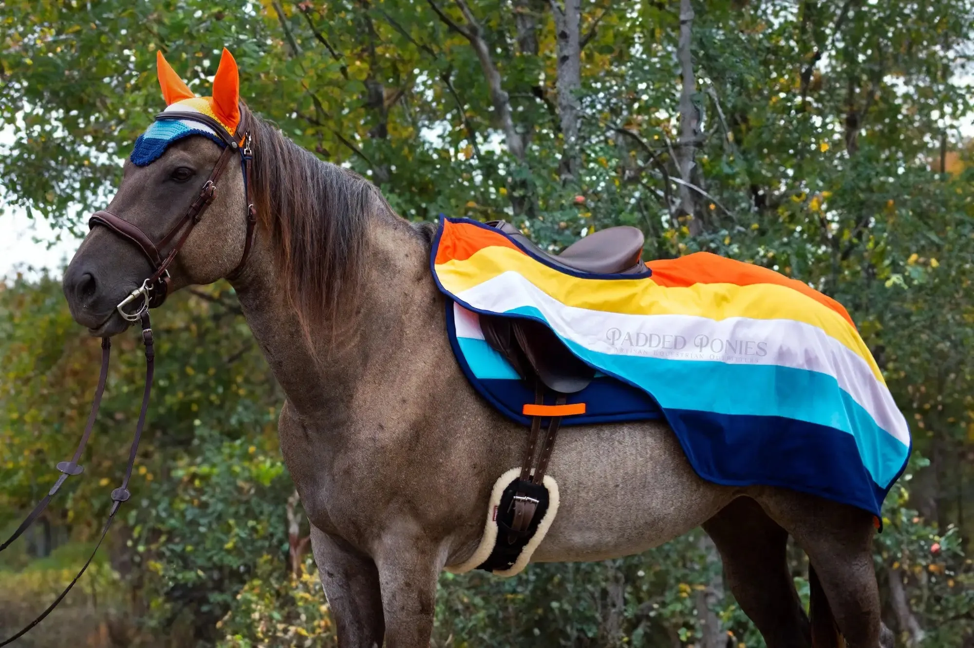 Custom LGBTQ  Pride Flag Quarter Sheet