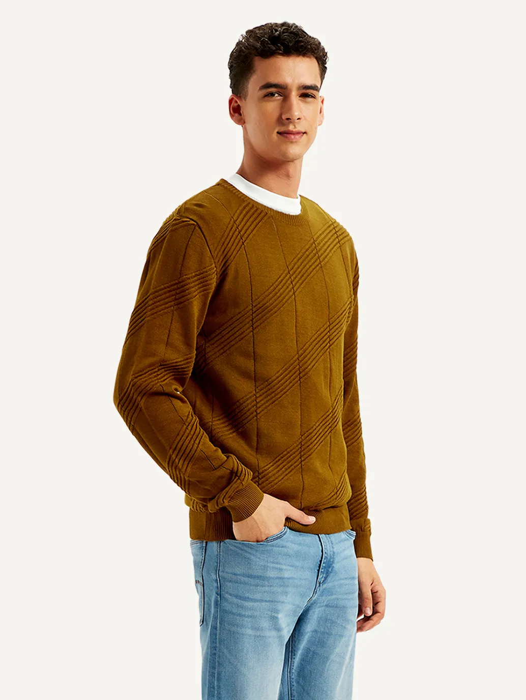 Men's Textured Brown Crew Neck Sweater