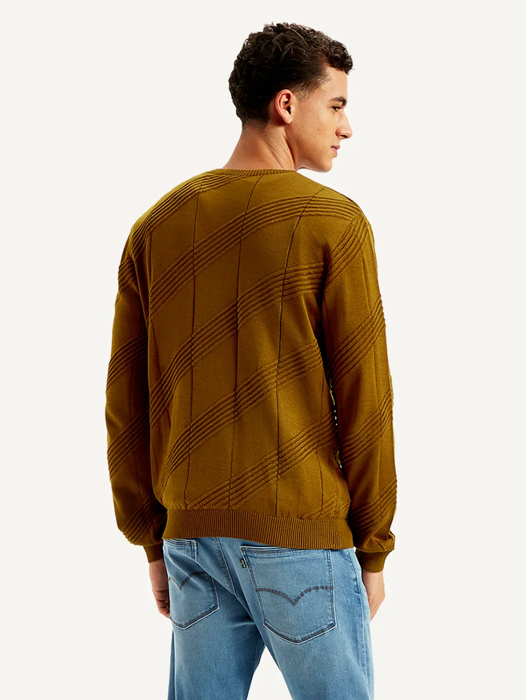 Men's Textured Brown Crew Neck Sweater