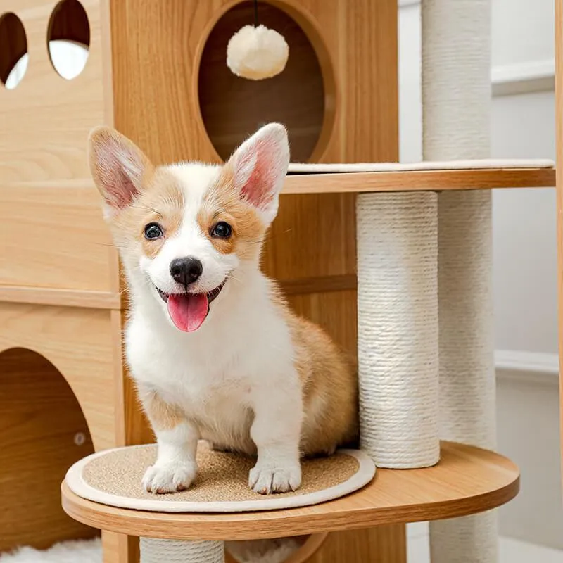 Modern Cat Tree for Large Cat with Clear Bowl & Scratch Post