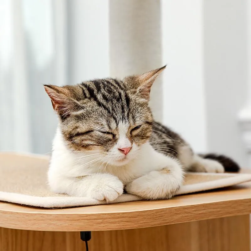 Modern Cat Tree for Large Cat with Clear Bowl & Scratch Post